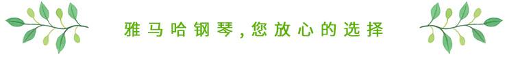 这才是真相：绿色关爱，热博的环境政策