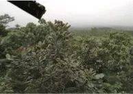 这才是真相：绿色关爱，热博的环境政策