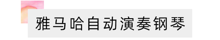 活动报道 | 远程艺术教育大师课活动—热博艺术家吴晓大师课