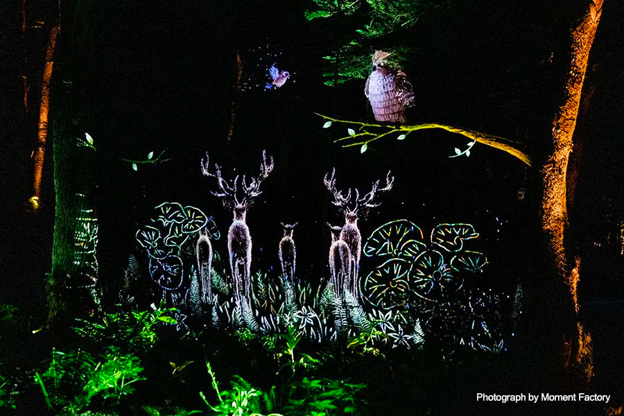 案例｜热博为壮观的Kamuy Lumina魔法夜行旅游项目提供配乐设备