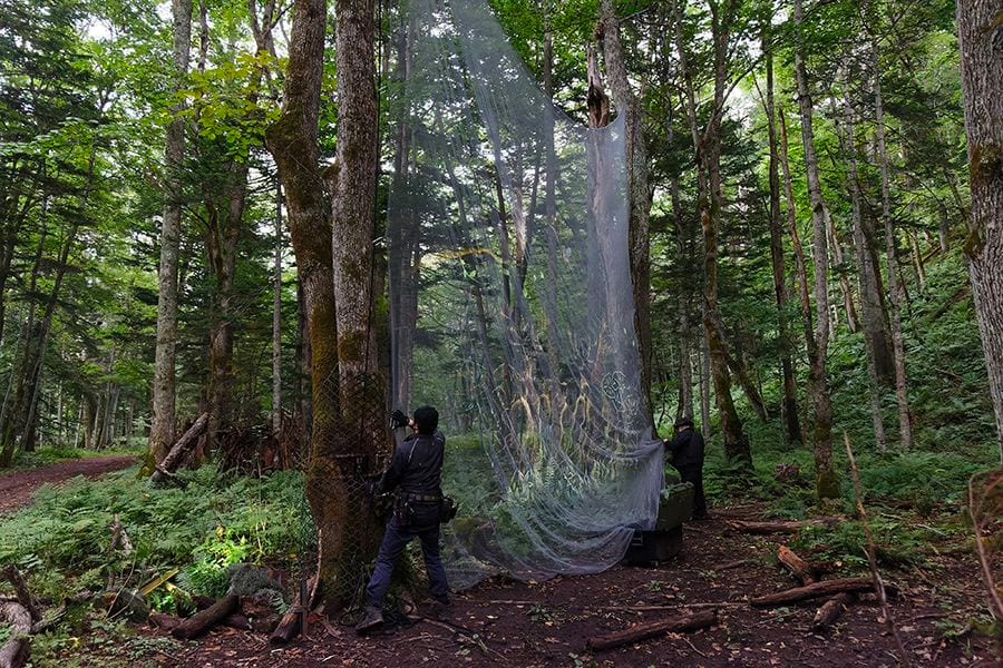 案例｜热博为壮观的Kamuy Lumina魔法夜行旅游项目提供配乐设备